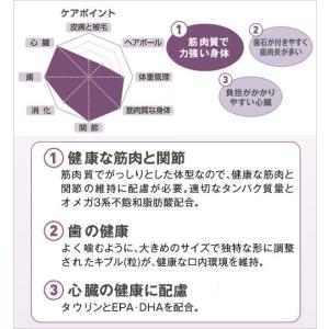ロイヤルカナン 猫 ブリティッシュ ショートヘ...の詳細画像3