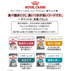 ロイヤルカナン 猫 FHN インドア 成猫用 ...の詳細画像3