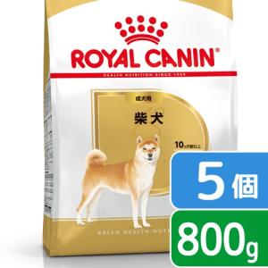 ロイヤルカナン　柴犬　成犬用　８００ｇ×５袋　３１８２５５０８２３８９０　ジップ付　お一人様２点限り｜chanet