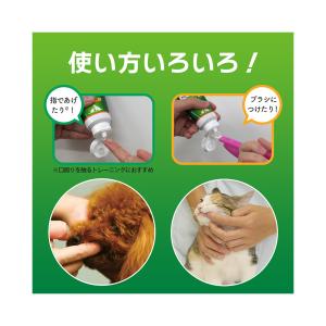 ライオン PETKISS 歯みがきジェル チキ...の詳細画像4