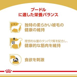 ロイヤルカナン ウェット プードル 85g 【...の詳細画像3