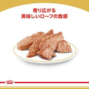 ロイヤルカナン ウェット プードル 85g 【...の詳細画像4