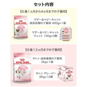ロイヤルカナン 猫 成長を続ける子猫のための ...の詳細画像2
