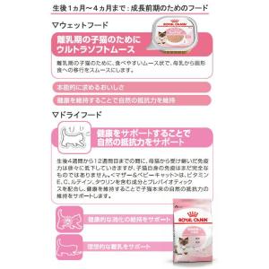 ロイヤルカナン 猫 成長を続ける子猫のための ...の詳細画像5