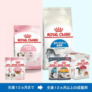 ピュリナワンキャット 美味を求める成猫用1歳以上チキン ( 4袋入×3