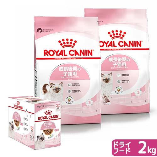 ロイヤルカナン　猫　成長後期の子猫用ドライウェットセット　ドライ２ｋｇ×２袋　ジップ付＋パウチ８５ｇ...