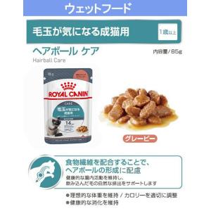 ロイヤルカナン 猫 毛玉が気になるドライウェッ...の詳細画像5