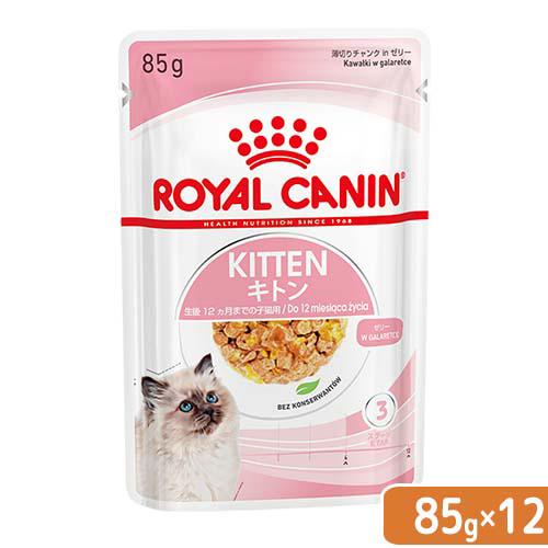 ロイヤルカナン　子猫　キトン　ゼリー　成長後期の子猫用　８５ｇ　１ボール１２袋　９００３５７９３１１...
