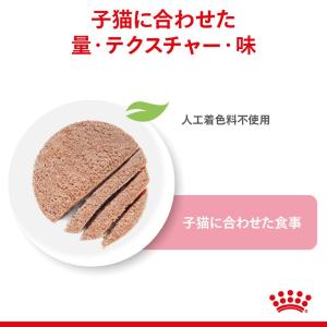 ロイヤルカナン 子猫 キトン ローフ 成長後期...の詳細画像2