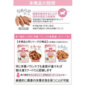 ロイヤルカナン 子猫 キトン ローフ 成長後期...の詳細画像5