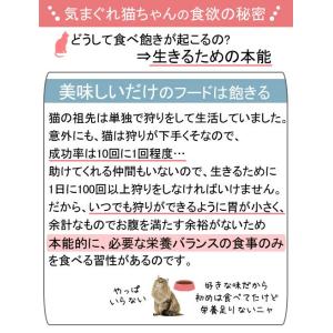 ロイヤルカナン 猫 インスティンクティブ ゼリ...の詳細画像2