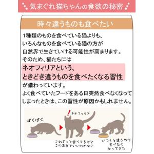ロイヤルカナン 猫 インスティンクティブ ロー...の詳細画像3