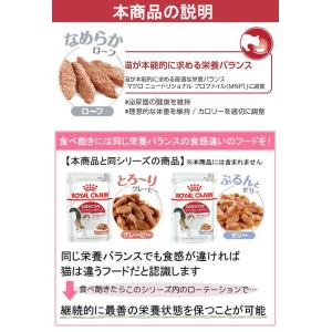 ロイヤルカナン 猫 インスティンクティブ ロー...の詳細画像5