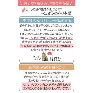 ロイヤルカナン 子猫 成長後期の子猫用 食べ比...の詳細画像2