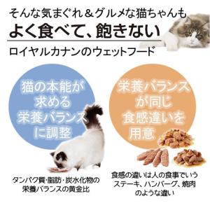 ロイヤルカナン 子猫 成長後期の子猫用 食べ比...の詳細画像4