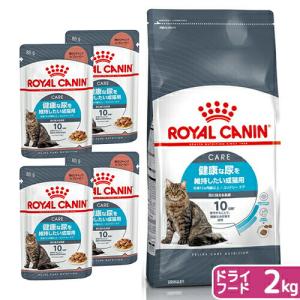 ダイエティクス　猫　ストルバイトブロック　3個セット ストルバイトブロック 猫用」の人気商品一覧 | 安い商品を通販