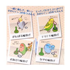 NPF エクセル わくわく輪投げの詳細画像2