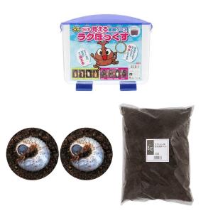 （昆虫）見える観察ケース　ラクぼっくす　国産カブトムシ幼虫飼育セット　説明書付　北海道・九州航空便要保温