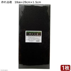 作れる君 59cm×29cm×1．5cm レイアウト テラリウム