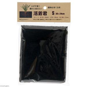 ピクタ 活着君 S 30×24cm 植物を育て...の詳細画像1