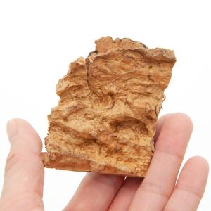 ワラダンの隠れ家(2個入り) コルク樹皮 昆虫...の詳細画像1