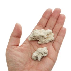 国産 ワラダンの栄養石(3個入り) 昆虫 ワラ...の詳細画像1