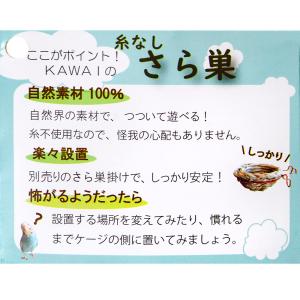 川井 小鳥のさら巣(直径130×65mm)の詳細画像3