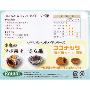 川井 小鳥のさら巣(直径130×65mm)の詳細画像5