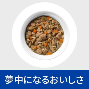 ヒルズ プリスクリプション ダイエット 猫用 ...の詳細画像5