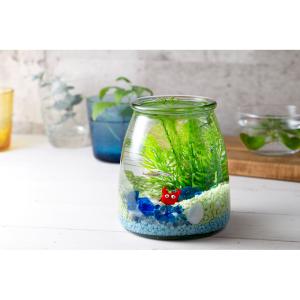 ボトルアクアリウムの商品一覧 通販 Yahoo ショッピング