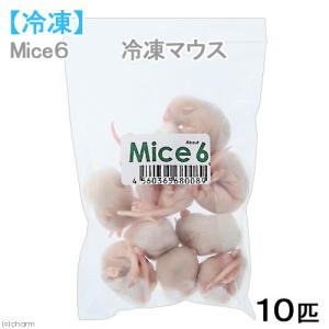 冷凍★ファジーM カタ養殖 Mice6 冷凍マウ...の商品画像