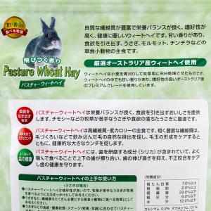 ハイペット パスチャーウィートヘイ 400gの詳細画像2
