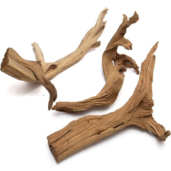形状お任せ　煮込み済み　ゴーストウッド　Ｓサイズ（約２５〜４０ｃｍ）　３本　レイアウト素材　流木