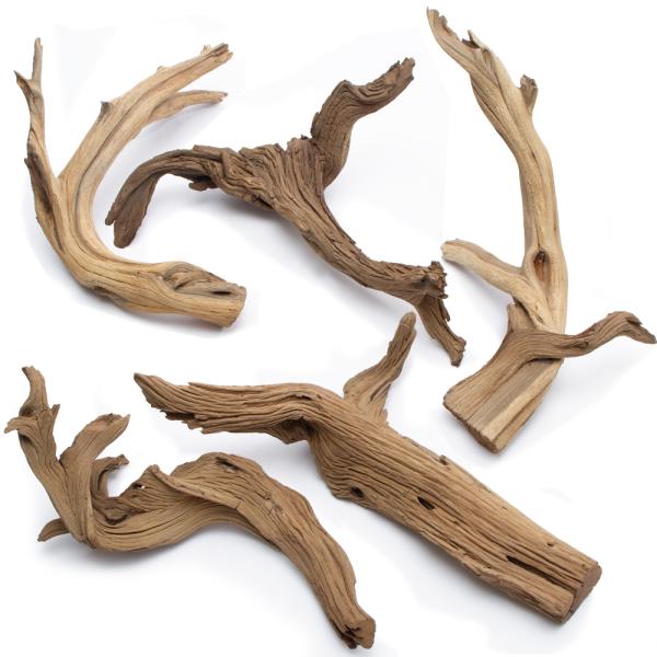 形状お任せ　煮込み済み　ゴーストウッド　Ｓサイズ（約２５〜４０ｃｍ）　５本　レイアウト素材　流木