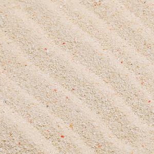 サンゴ砂　ホワイトビーチサンド　９Ｌ　６０ｃｍ水槽用　海水水槽用底砂　お一人様２点限り
