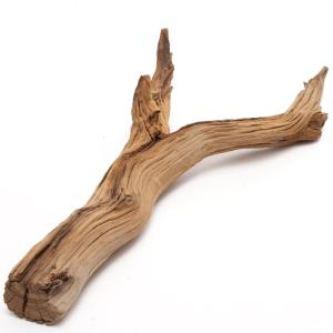 GEX（ジェックス） 天然流木 Mサイズ（約30〜40cm） 1本 形状