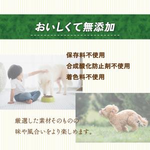 ヤワラハ グレインフリー ソフト チキン&野菜...の詳細画像4