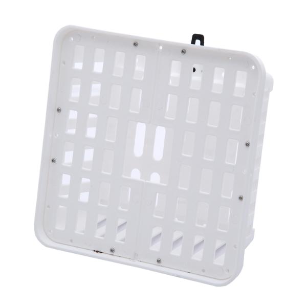 コウモリランバスケット　ホワイト　３Ｌサイズ　ハンギング　コウモリラン　ビカクシダ　フペルジア