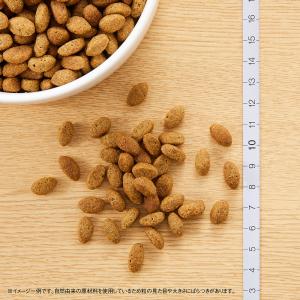 【送料無料】ニュートロ シュプレモ 超小型犬〜...の詳細画像4