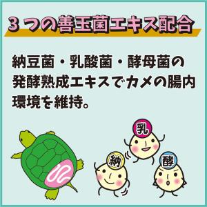 キョーリン 超おおきなカメのエサ ハイパークリ...の詳細画像5