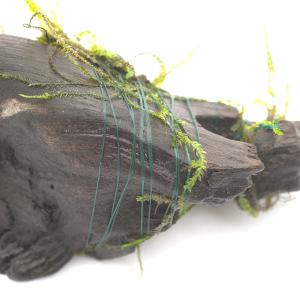 モスライン 1.5g(約50m) モスカラー(...の詳細画像2