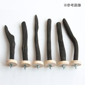 小鳥の爪とぎ用 備長炭とまり木 スタンダード ...の詳細画像4