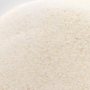 国内洗浄焼成済み C．P．Farm 化石サンゴ砂 fossil coral SS 6kg 海水水槽用底砂 お一人様4点限り
