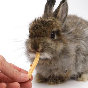 国産 りんごの細切りスティック 100g 大容...の詳細画像4