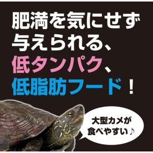 キョーリン カメプロス ヘルスケア 560g ...の詳細画像4