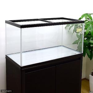 大型)GEX マリーナ900 90×45×45cm 単品 90cm 大型)GEX マリーナ900 90×45×45cm 単品 90cm