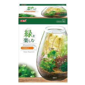 アウトレット品　ＧＥＸ　グラスアクアリウム　キャンドル　訳あり