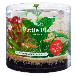 GEX（ジェックス） 癒し水景 MIXプランツ L ロタラ 人工水草