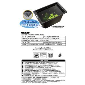 GEX メダカ元気 メダカのための飼育箱 黒3...の詳細画像3