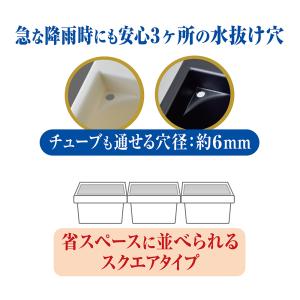 GEX メダカ元気 メダカのための飼育箱 黒3...の詳細画像4